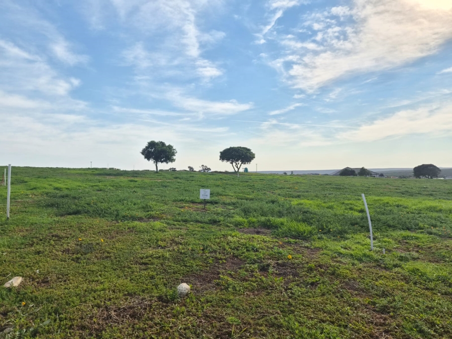 0 Bedroom Property for Sale in Stilbaai Wes Western Cape